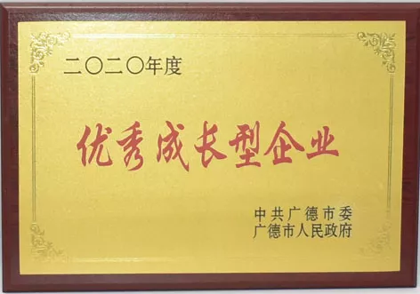 优秀成长型企业