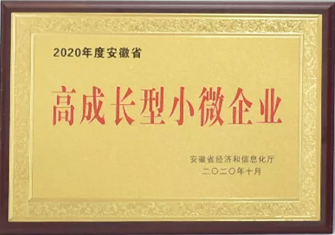 高成长型小微企业